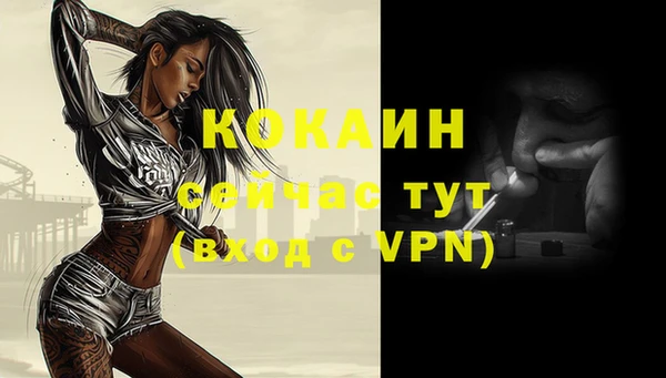 spice Богданович