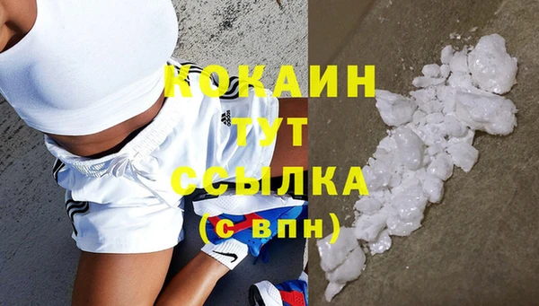 твердый Верея