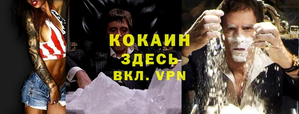 твердый Верея