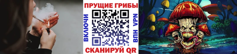 где купить наркоту  Калязин  Галлюциногенные грибы ЛСД 